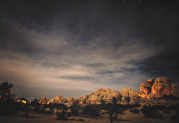 desert landscape