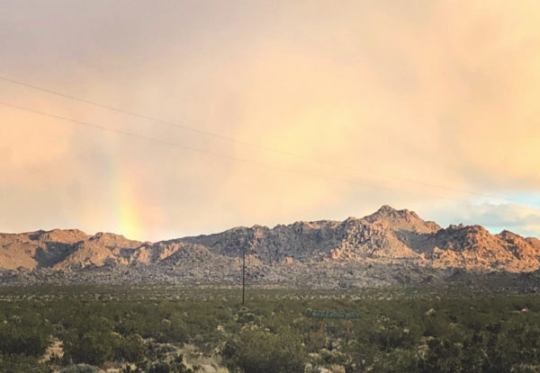 desert landscape