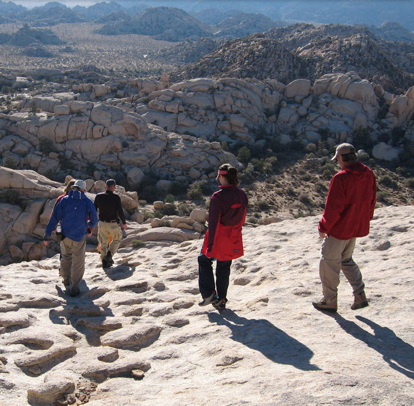 Joshua Tree Rocks